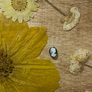 Origami owl-cameo charm